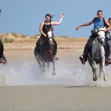 Royal Beach Resort, Hurghada Esterno foto